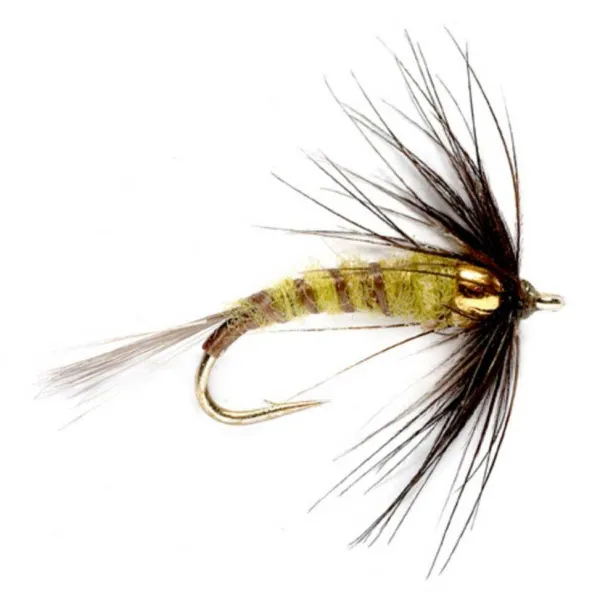 Orvis Bead Head Flymph - Bwo| Wet Flies