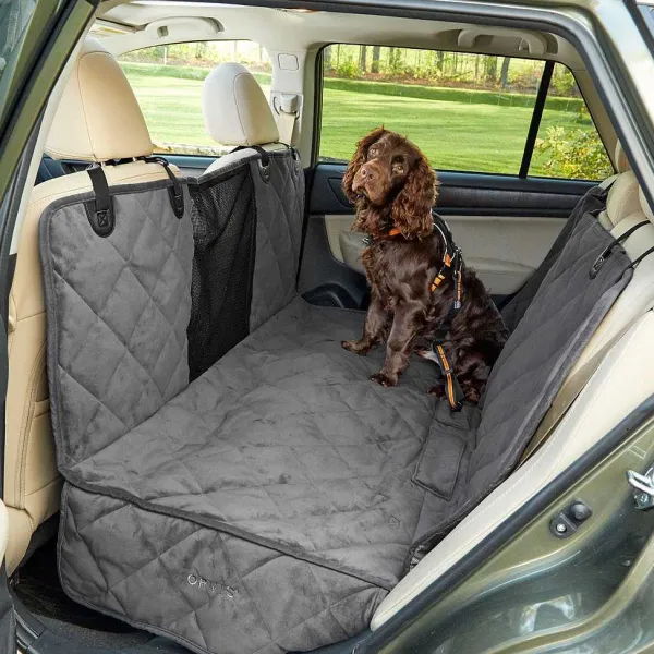 Orvis Kurgo® Seatbelt Buckle Dog Tether| Travel Accessories