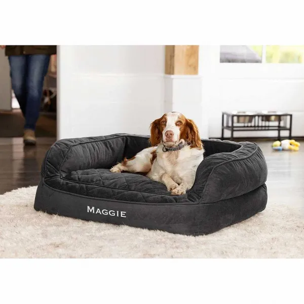 Orvis Memory Foam Couch Dog Bed| Recoveryzone® Dog Beds