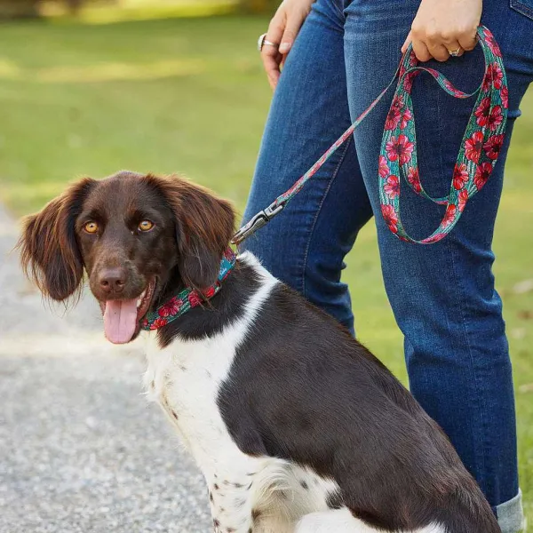 Orvis X Fishe® Wear Collar| Collars