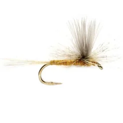 Orvis Sulphur Parachute| Dry Flies